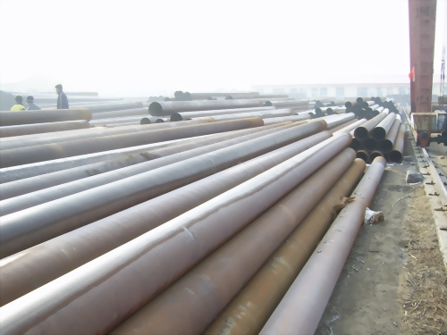 wopGB/8163-1999(bio)(zhn)